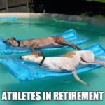 Retired Greyhounds