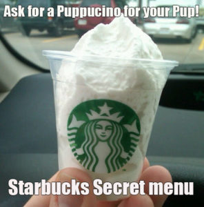 Starbucks Puppuccino