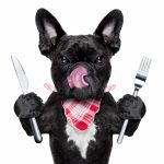 Dog with knife and fork