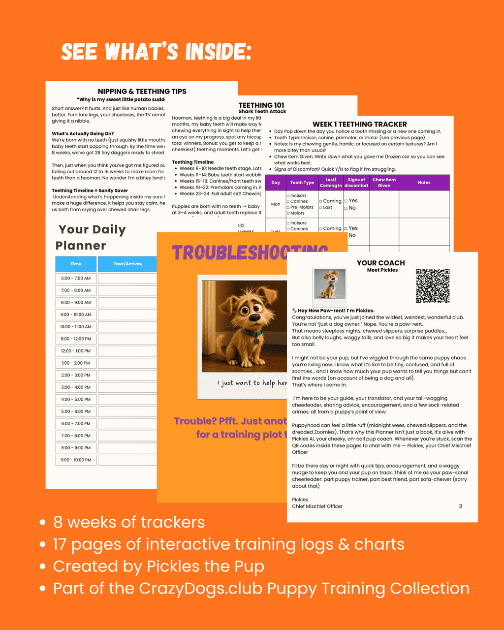 Puppy Teething Troubles - Image 3